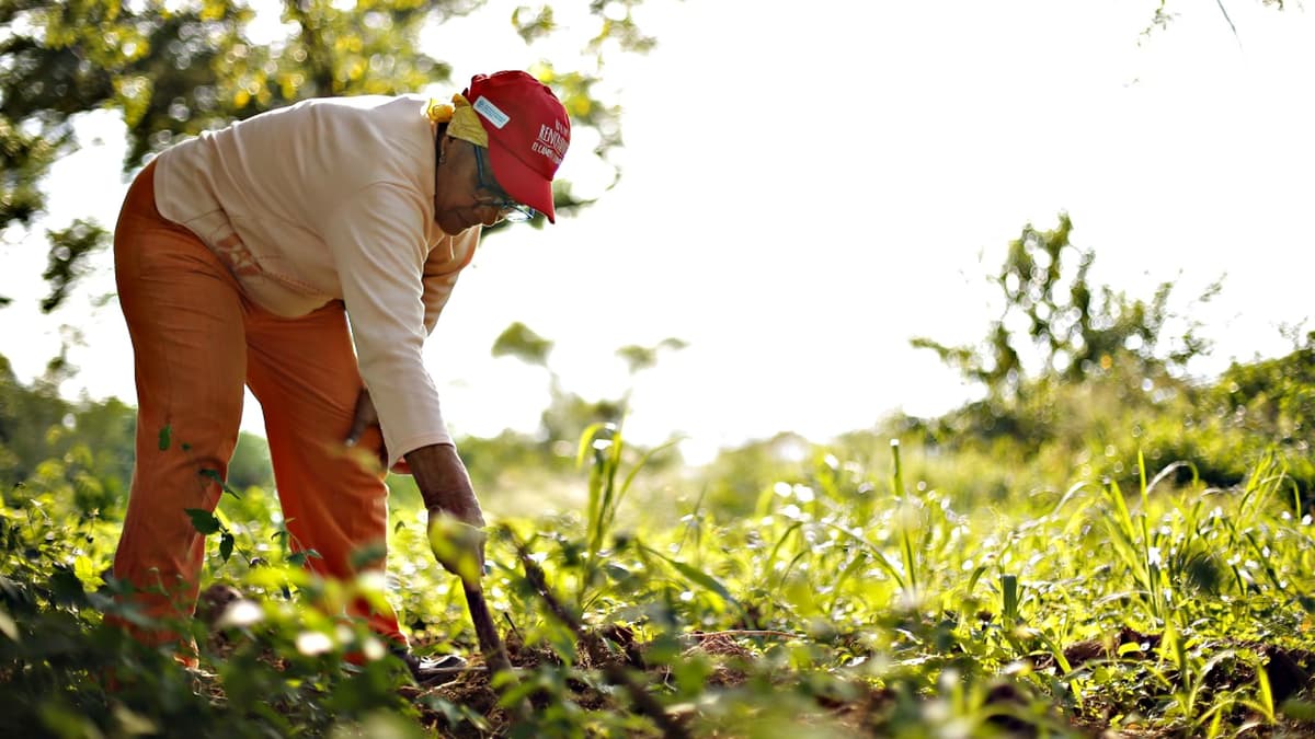 farming