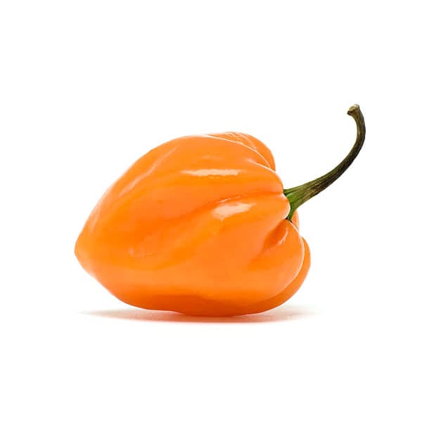 Habanero 8lb