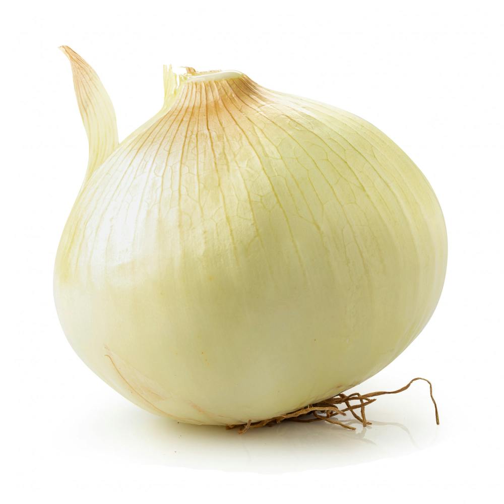 White Onion Jumbo